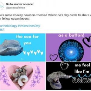 valentines cards cheesy