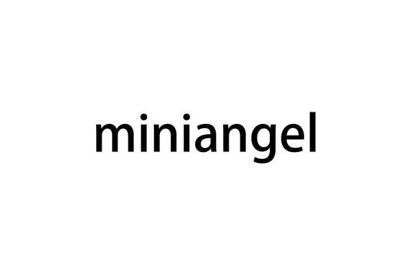 mini angel