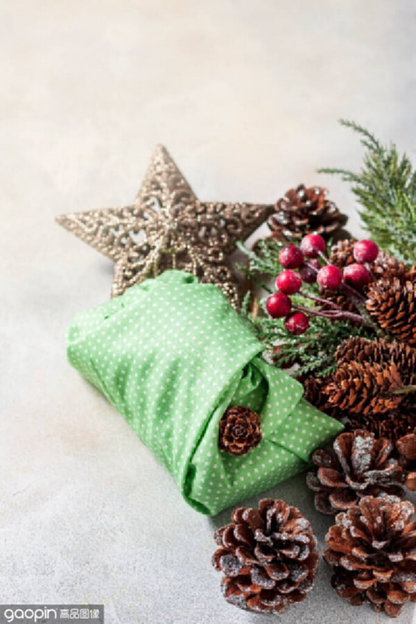sustainable christmas gift ideas