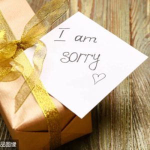 send im sorry gift