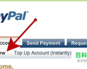 paypal send as a gift friends and family option