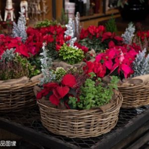 send flowers and gift baskets